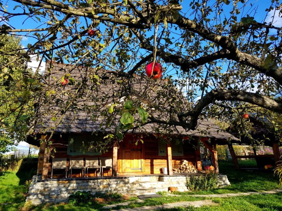 Jabloniowy Sad Kalwaria Paclawska Villa Exterior foto