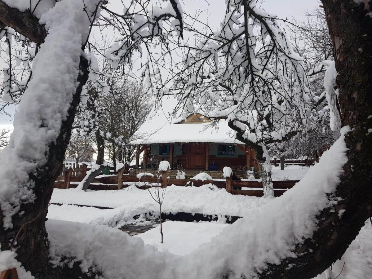Jabloniowy Sad Kalwaria Paclawska Villa Exterior foto